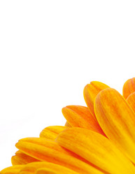 Similar image 157530