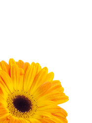 Similar image 157531