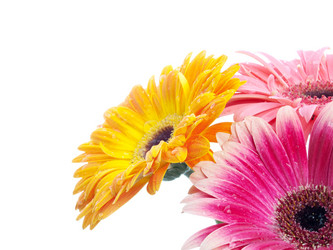 Similar image 157532