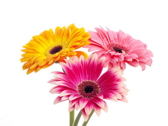 Similar image 157538