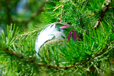 Similar image 157546