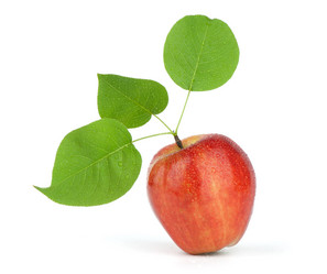 Similar image 157589