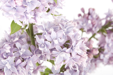 Similar image 157607