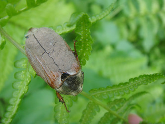 Similar image 157615