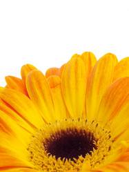 Similar image 157621