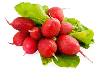 Similar image 157624