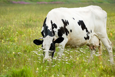 Similar image 157659