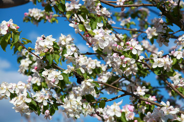 Similar image 157663