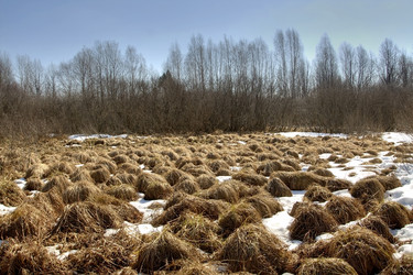 Similar image 157669