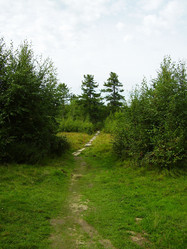 Similar image 157675