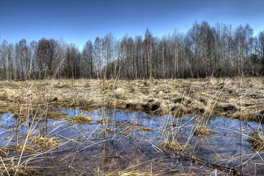 Similar image 157696