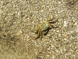 Similar image 157724