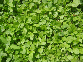 Similar image 157727