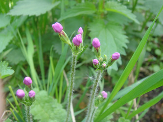 Similar image 157728