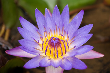 Similar image 157741