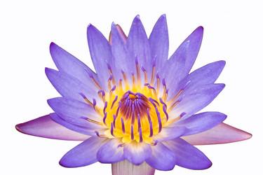 Similar image 157742