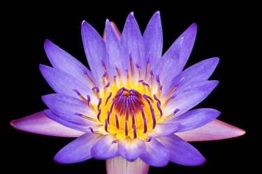 Similar image 157743