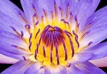 Similar image 157744