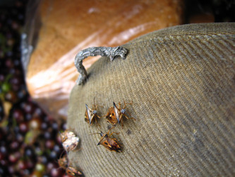 Similar image 157746