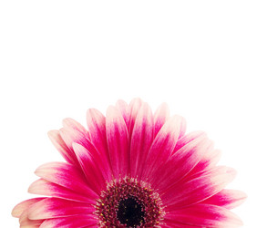 Similar image 157754