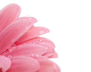 Similar image 157755