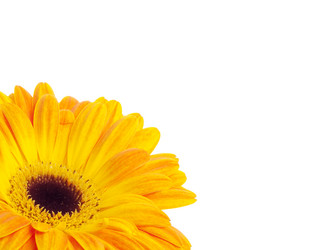 Similar image 157758