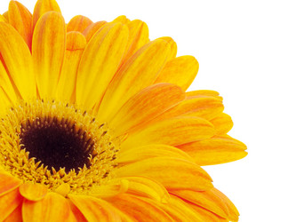 Similar image 157759