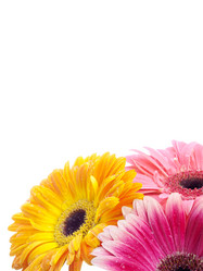 Similar image 157761