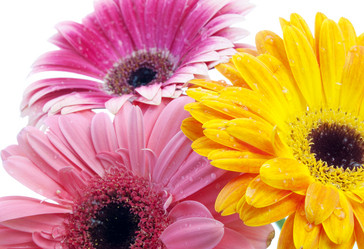 Similar image 157762