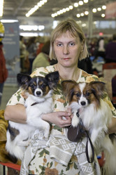 Similar image 157772