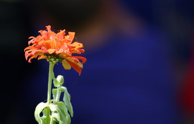 Similar image 157790