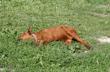 Similar image 157833