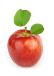 Similar image 157874