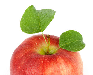 Similar image 157875