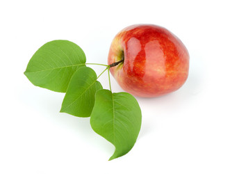 Similar image 157880