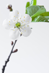 Similar image 157883