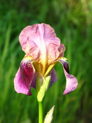 Similar image 157885