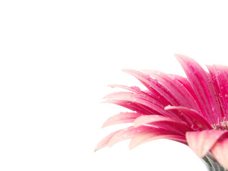 Similar image 157886