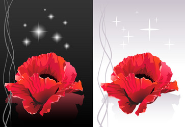 Similar image 157889