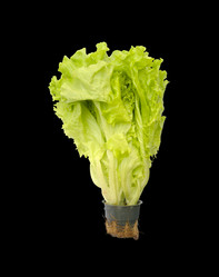 Similar image 157890