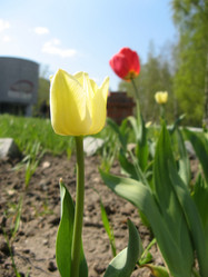 Similar image 157892