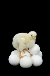 Similar image 157894