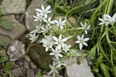 Similar image 157924