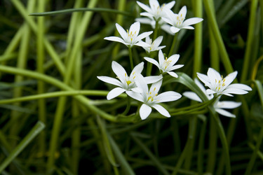 Similar image 157925