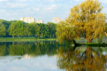 Similar image 157931