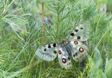 Similar image 157988