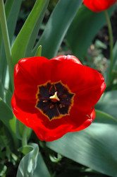 Similar image 157994