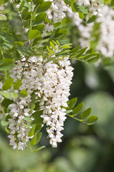 Similar image 157997