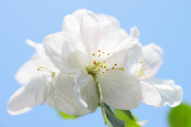 Similar image 157998