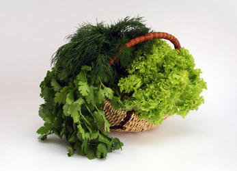 Similar image 157999